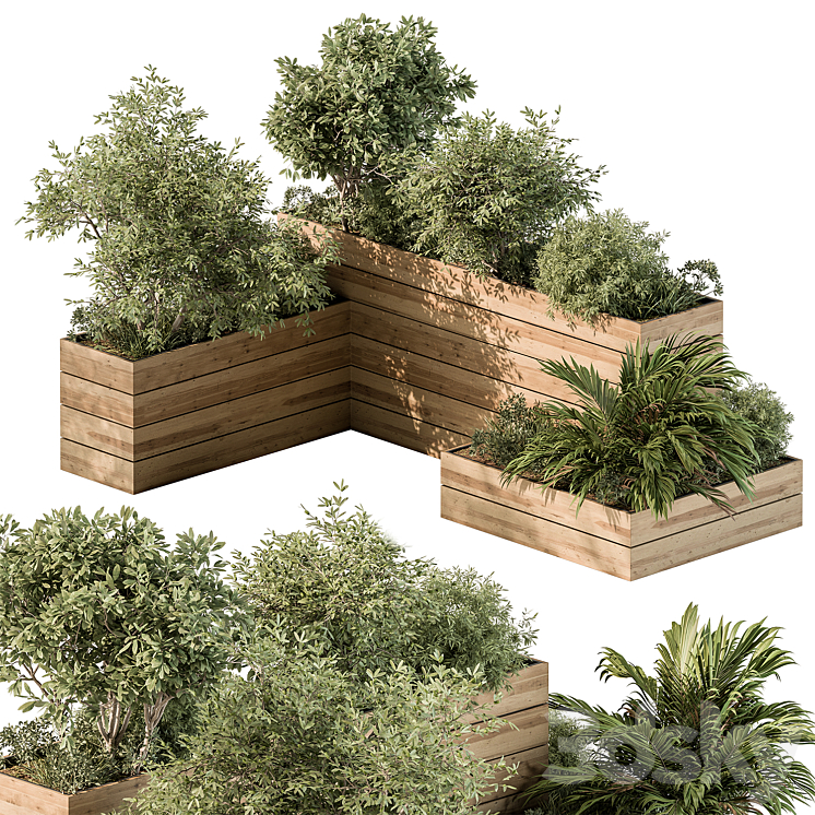 Plant Box – Outdoor Plants 487 3DS Max Model - thumbnail 1