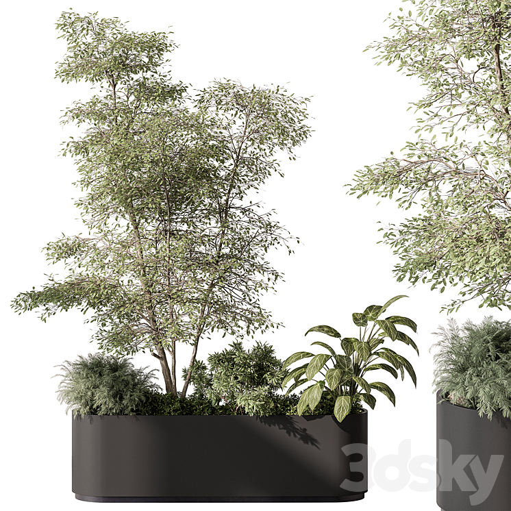 Plant Box – Outdoor Plants 515 3DS Max Model - thumbnail 1