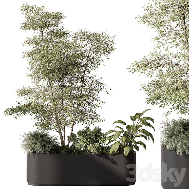 Plant Box – Outdoor Plants 515 3DS Max - thumbnail 1