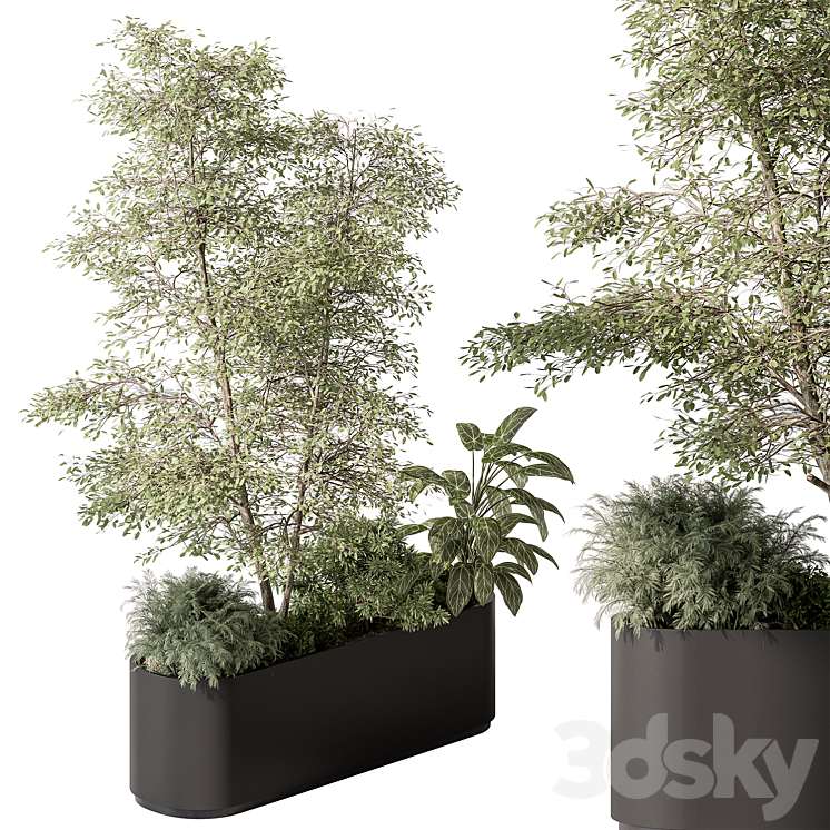 Plant Box – Outdoor Plants 515 3DS Max - thumbnail 2