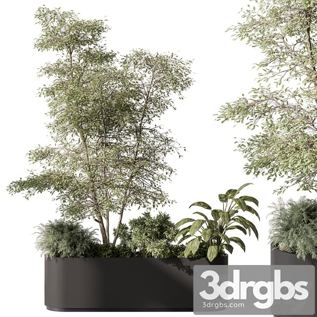 Plant Box Outdoor Plants 515 3dsmax Download - thumbnail 1