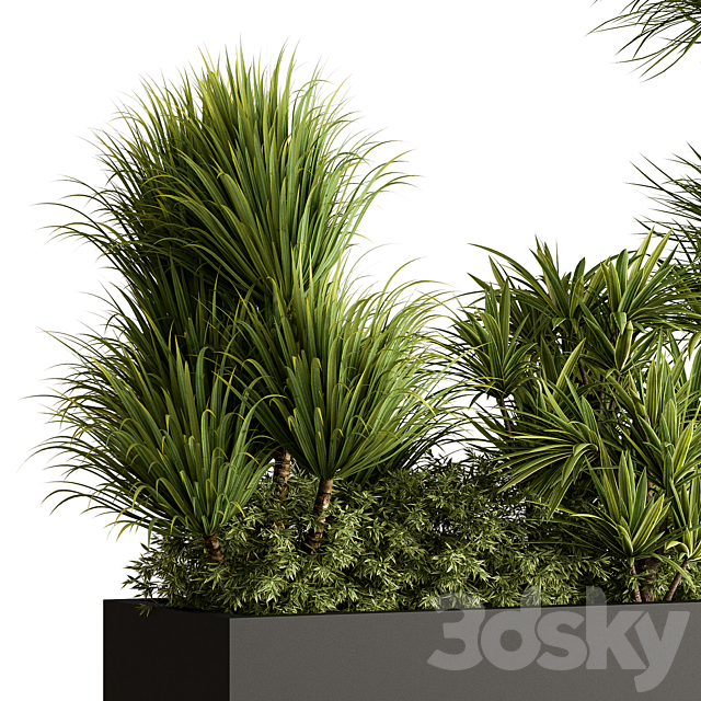 Plant Box – Outdoor Plants 580 3ds Max - thumbnail 2