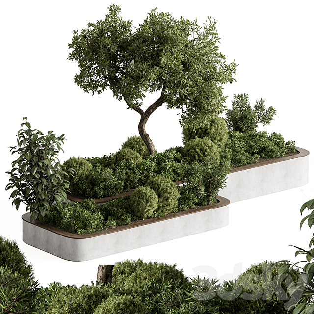 Plant Box – Outdoor Plants 588 3ds Max - thumbnail 2