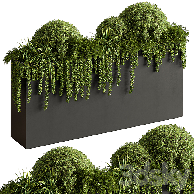 Plant Box – Outdoor Plants 603 3ds Max - thumbnail 2