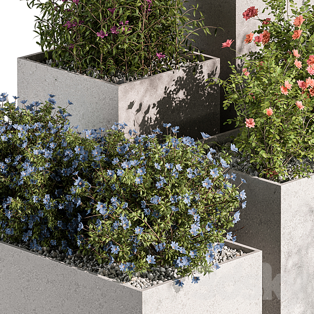 Plant Box – Outdoor Plants Flowers 534 3DS Max Model - thumbnail 2