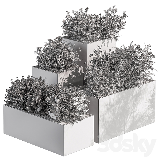 Plant Box – Outdoor Plants Flowers 534 3DS Max Model - thumbnail 4