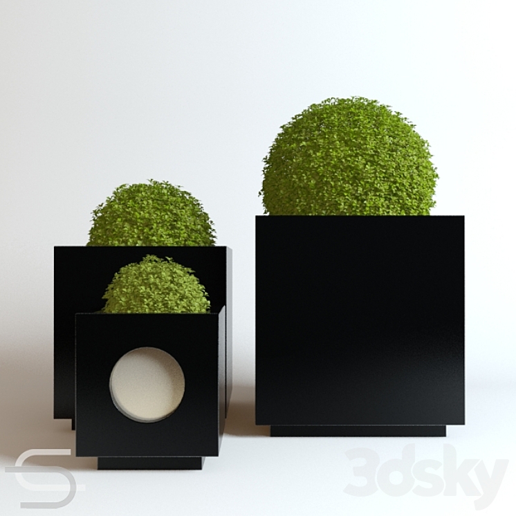 Plant CEDE 07 3DS Max - thumbnail 1