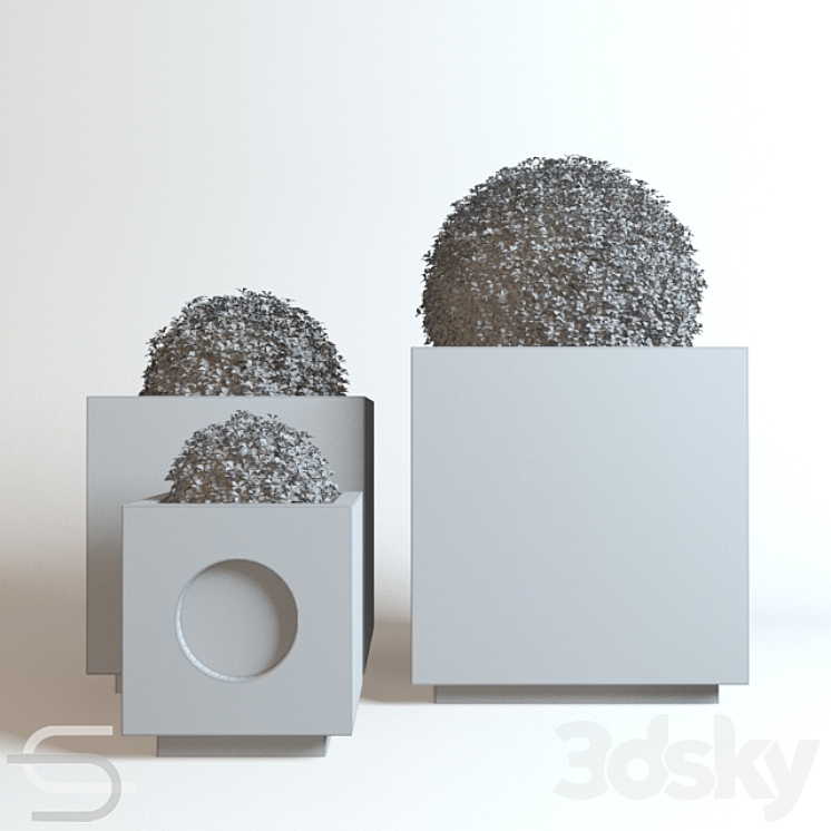 Plant CEDE 07 3DS Max - thumbnail 2