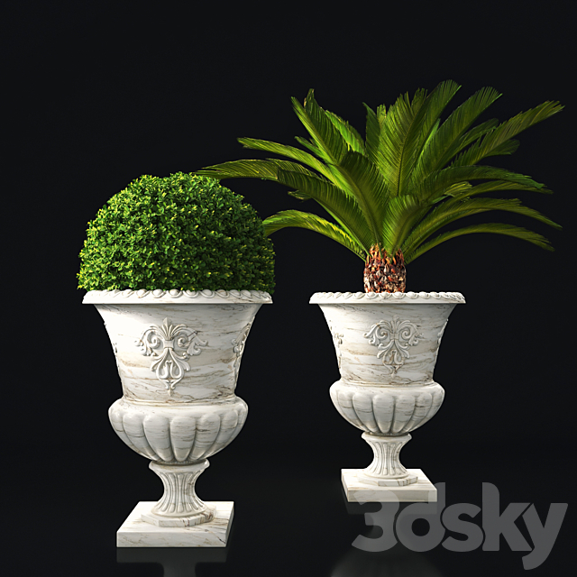 plant collection 05 3ds Max - thumbnail 1