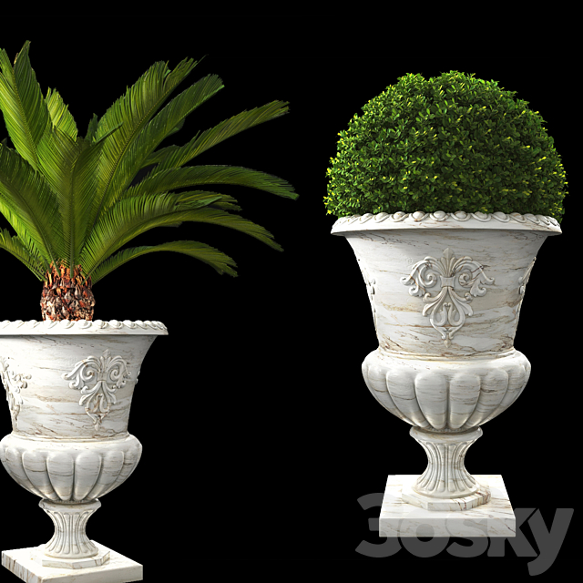 plant collection 05 3ds Max - thumbnail 2