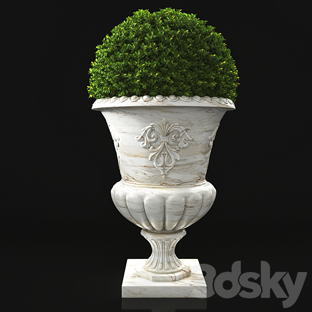 plant collection 05 3ds Max - thumbnail 3