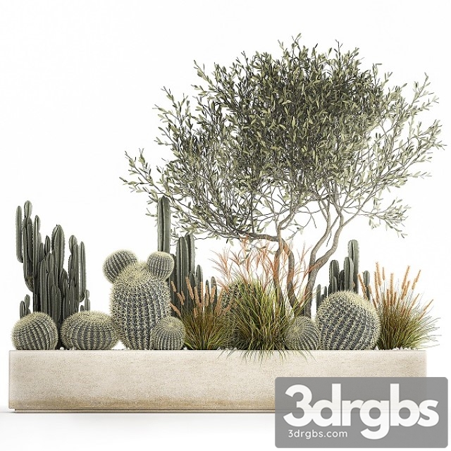 Plant Collection 1105 3dsmax Download - thumbnail 1