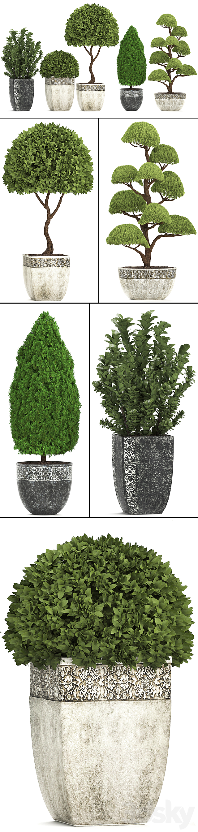 Plant collection 239. Garden plants landscape design classic flowerpot trees topiary boxwood 3DS Max Model - thumbnail 2