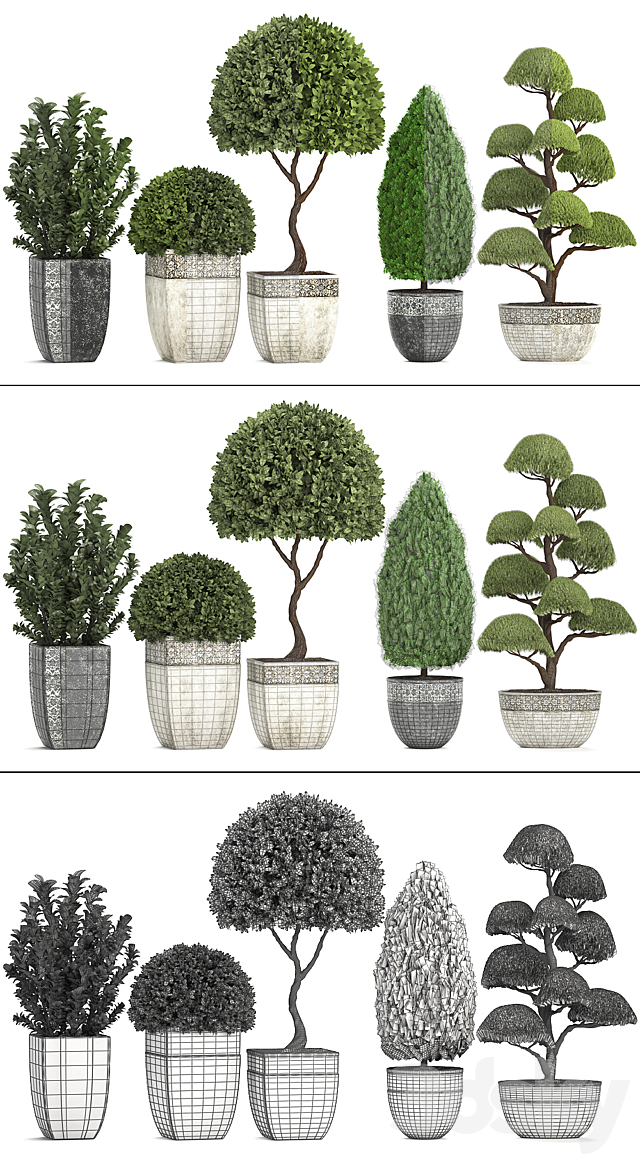 Plant collection 239. Garden plants landscape design classic flowerpot trees topiary boxwood 3DS Max Model - thumbnail 3