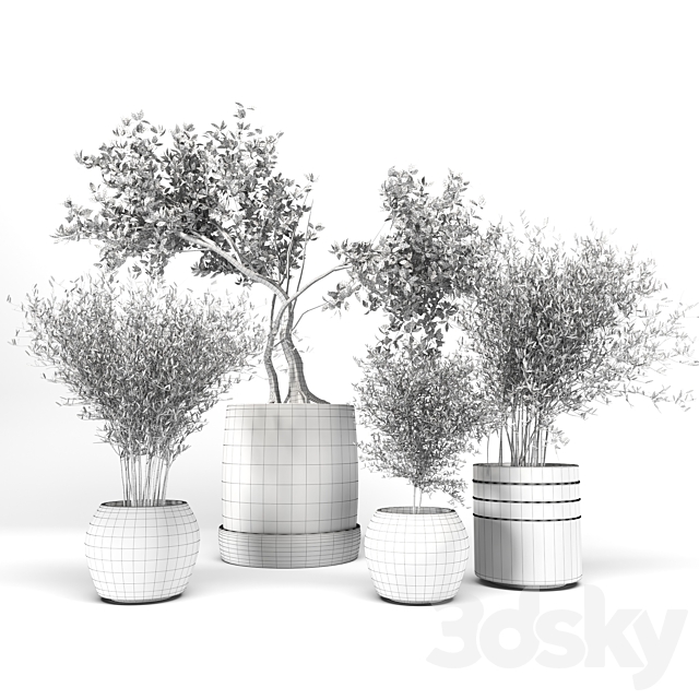 Plant collection09 3DS Max Model - thumbnail 5