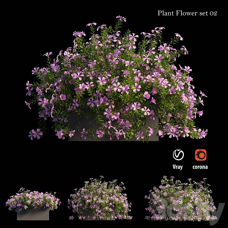 Plant Flower set 02 3DS Max - thumbnail 1