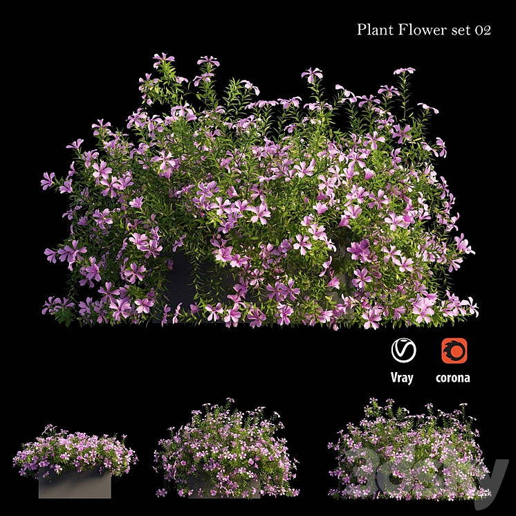 Plant Flower set 02 3DS Max - thumbnail 2