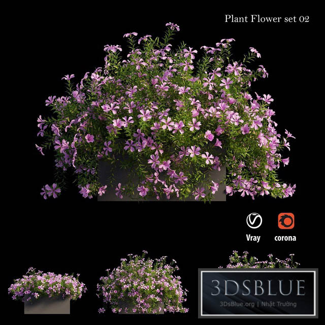 Plant Flower set 02 3DS Max - thumbnail 3