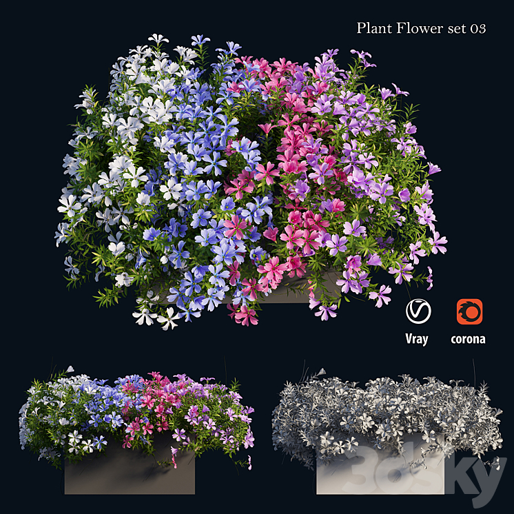 Plant Flower set 03 3DS Max - thumbnail 1