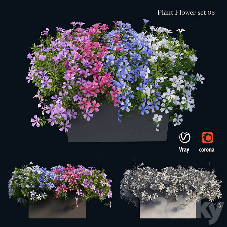 Plant Flower set 03 3DS Max - thumbnail 2