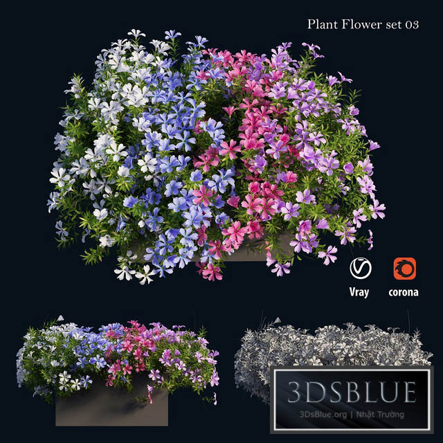 Plant Flower set 03 3DS Max - thumbnail 3