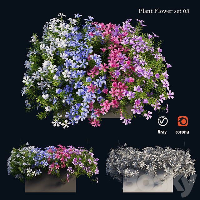 Plant Flower set 03 3DSMax File - thumbnail 1