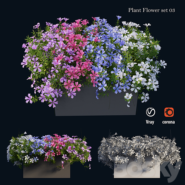 Plant Flower set 03 3DSMax File - thumbnail 2