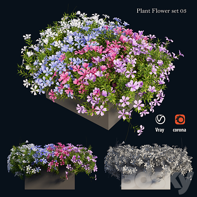 Plant Flower set 03 3DSMax File - thumbnail 3