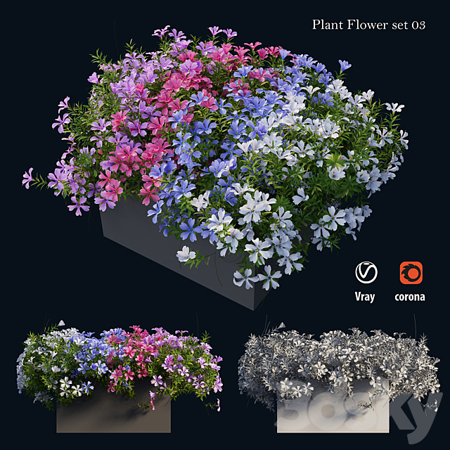 Plant Flower set 03 3DSMax File - thumbnail 4