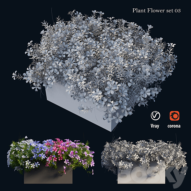 Plant Flower set 03 3DSMax File - thumbnail 5