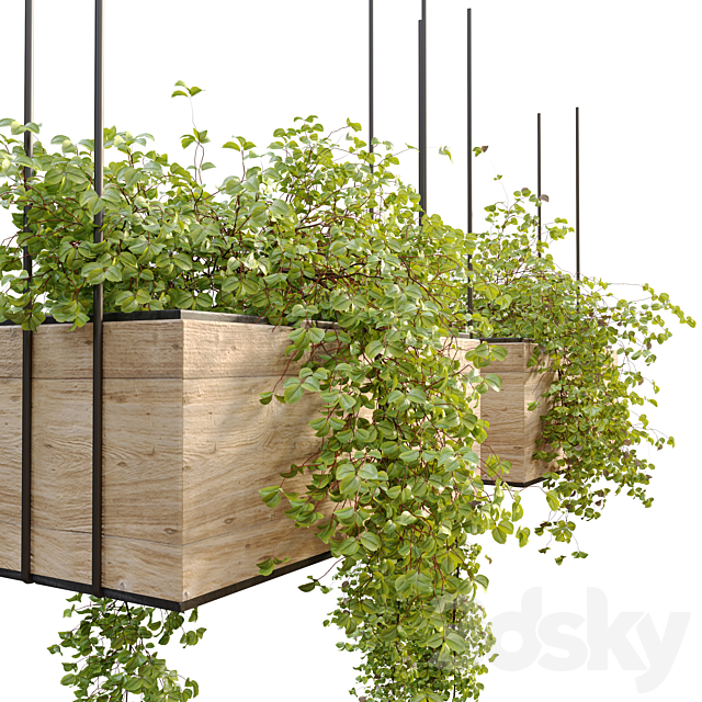 Plant hanger 3DS Max Model - thumbnail 2