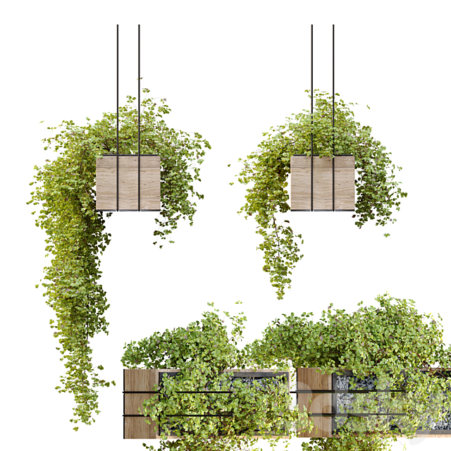 Plant hanger 3DS Max Model - thumbnail 3