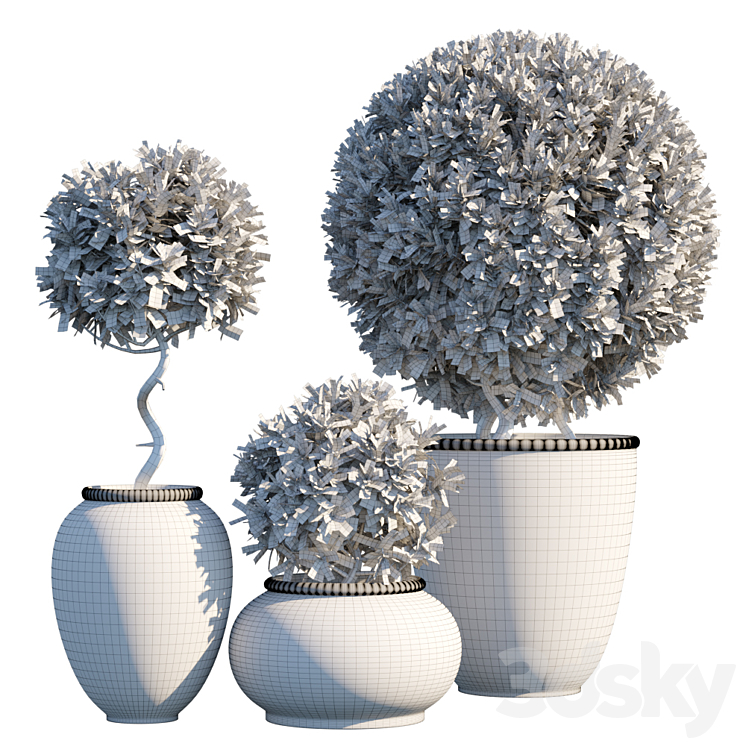 Plant in pots # 10: Mediterranean 3DS Max - thumbnail 2