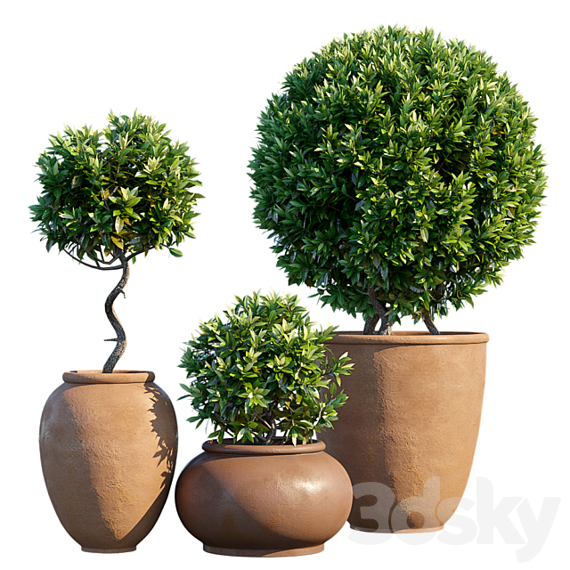 Plant in pots # 10: Mediterranean 3dsMax Model - thumbnail 1