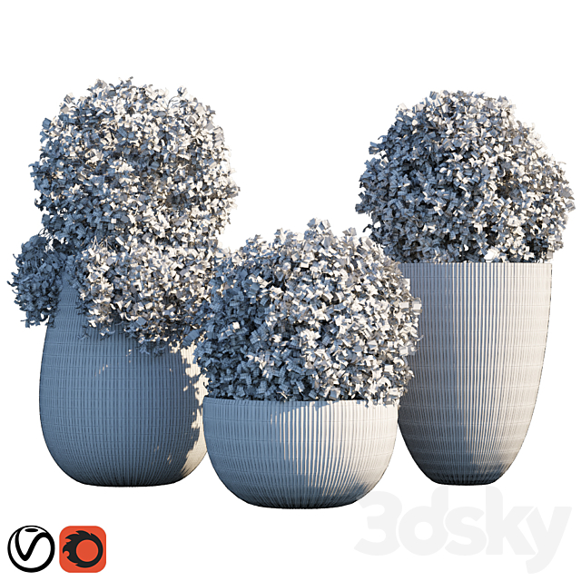 Plant in pots # 14: Star Jasmine 3dsMax Model - thumbnail 2