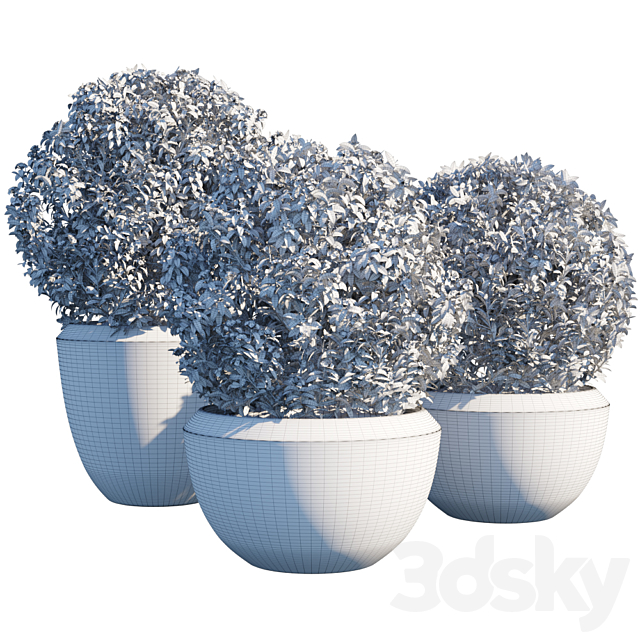 Plant in pots # 2 3ds Max - thumbnail 2