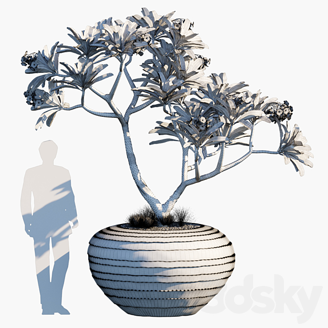 Plant in pots # 26 3DSMax File - thumbnail 2