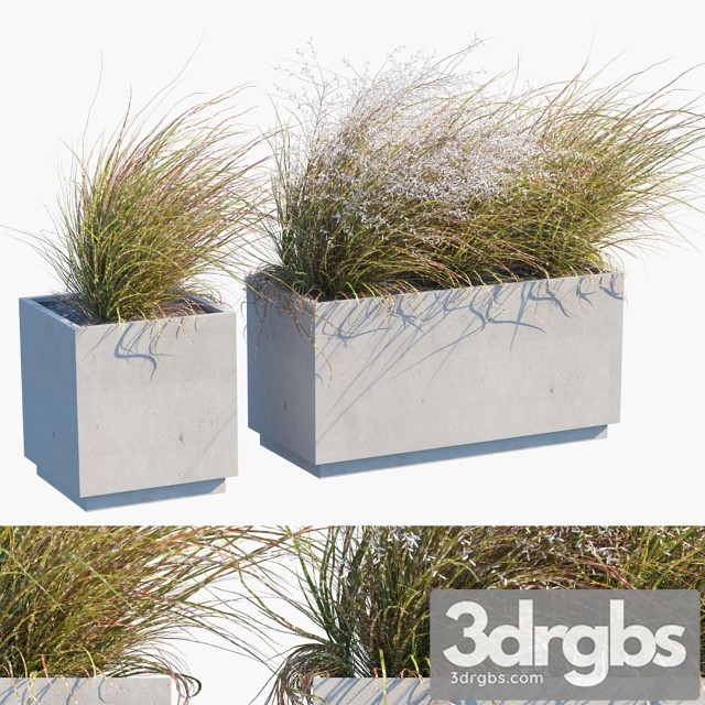 Plant In Pots 27 Wind Blows 3dsmax Download - thumbnail 1