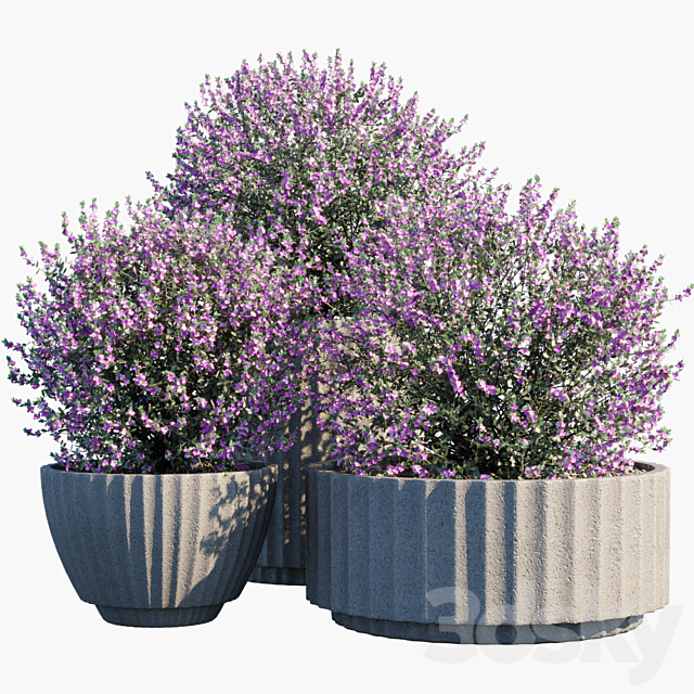 Plant in pots # 29 3ds Max - thumbnail 1