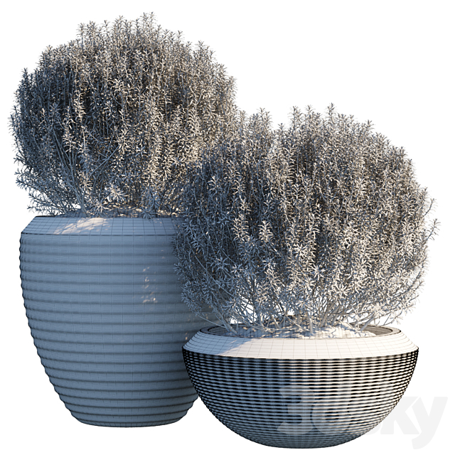 Plant in pots # 3 3ds Max - thumbnail 2