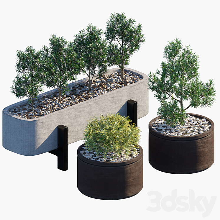 Plant in pots # 34 3DS Max - thumbnail 1