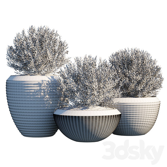 Plant in pots # 4 3DS Max Model - thumbnail 2