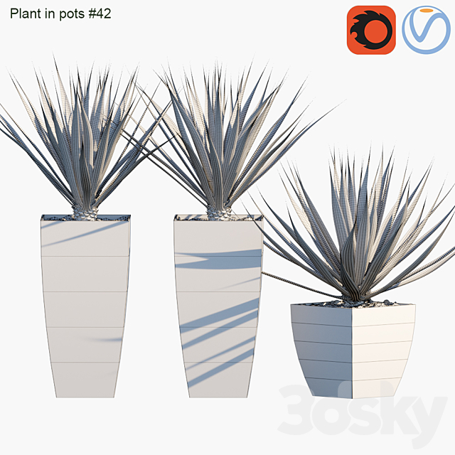 Plant in pots # 42: Agave 3DS Max Model - thumbnail 3