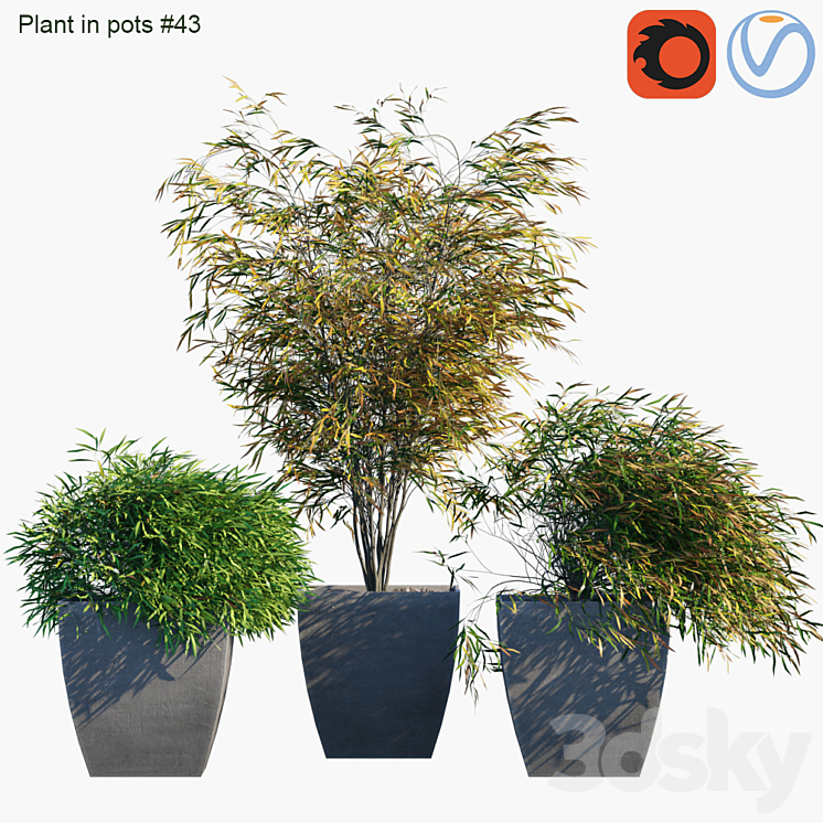 Plant in pots # 43: Palm and grass 3DS Max - thumbnail 1