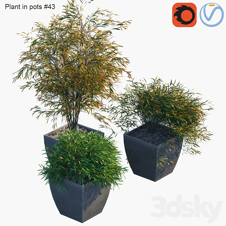 Plant in pots # 43: Palm and grass 3DS Max - thumbnail 2