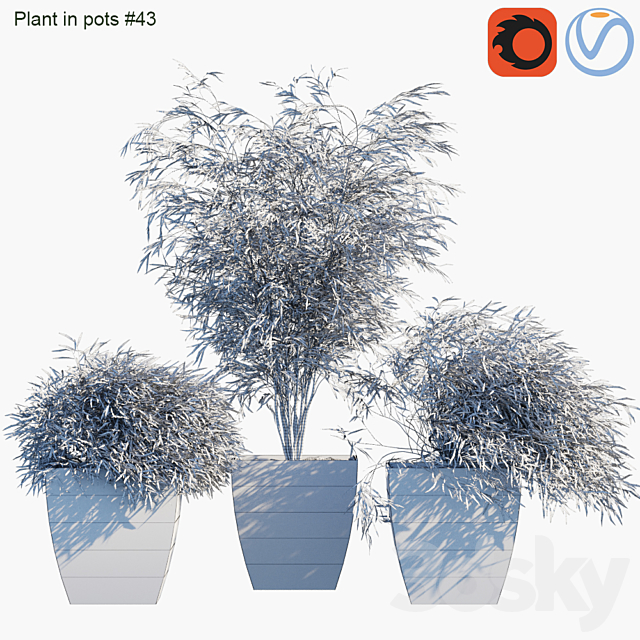 Plant in pots # 43: Palm and grass 3DSMax File - thumbnail 3