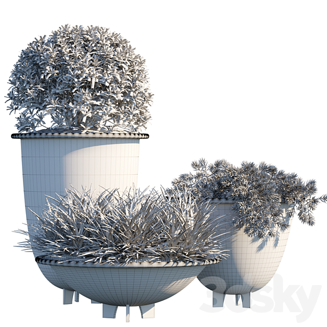 Plant in pots # 6 3DS Max Model - thumbnail 2