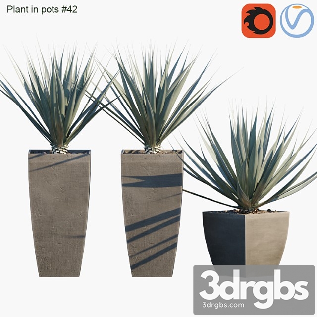 Plant in pots _123 - thumbnail 1