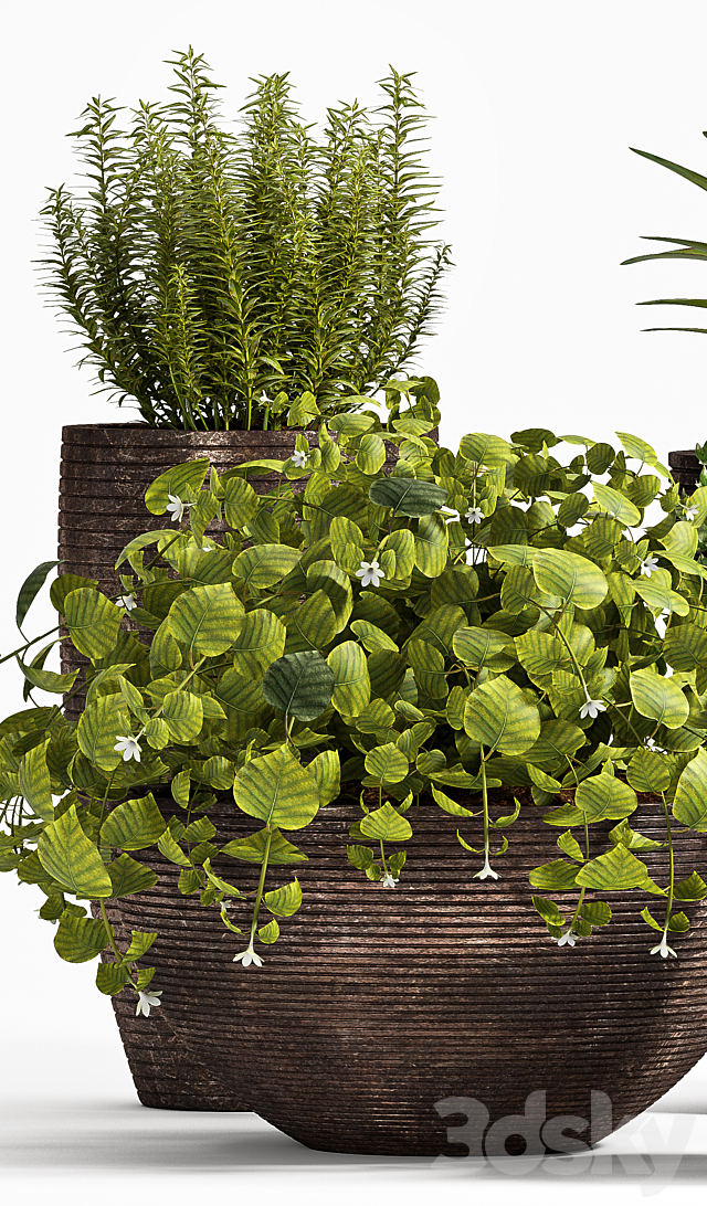 PLANT SET -101 3DS Max Model - thumbnail 3