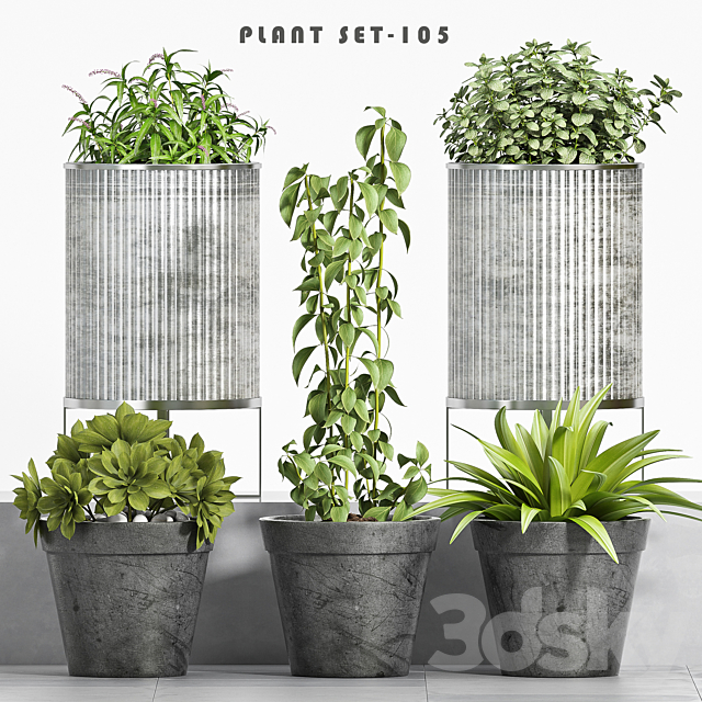 plant set-105 3DSMax File - thumbnail 1